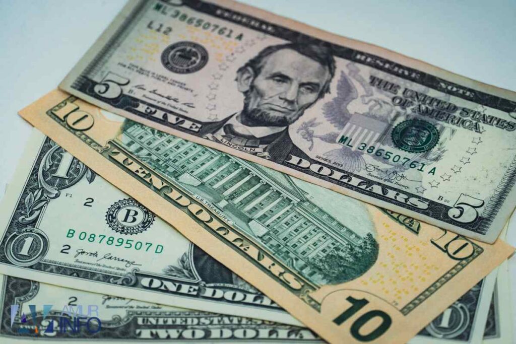 Владелец криптофермы в Китае потерял миллионы долларов из-за кошек