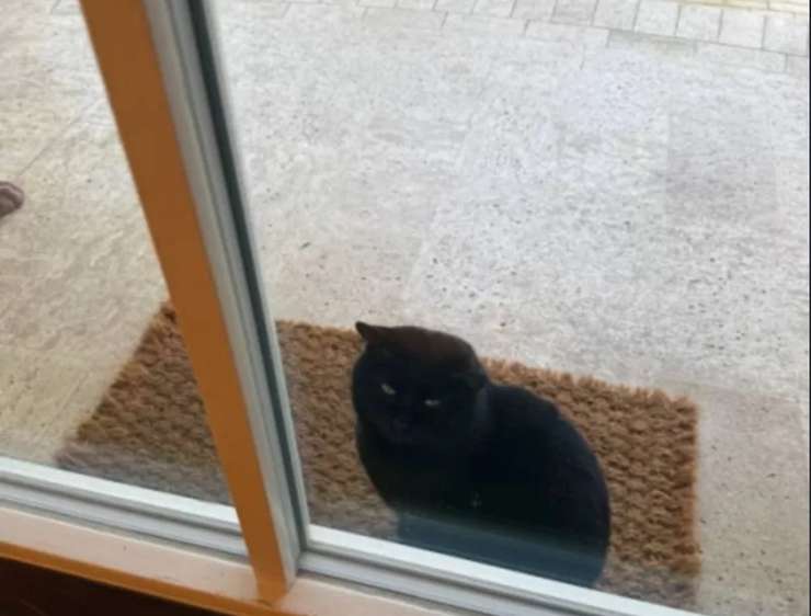 Маргарита Симоньян рассказала о мистических событиях после смерти Тиграна Кеосаяна

