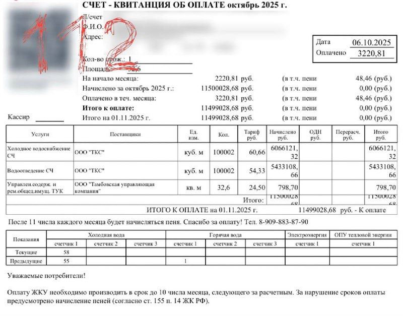 Жительнице Приамурья насчитали миллионы за коммуналку