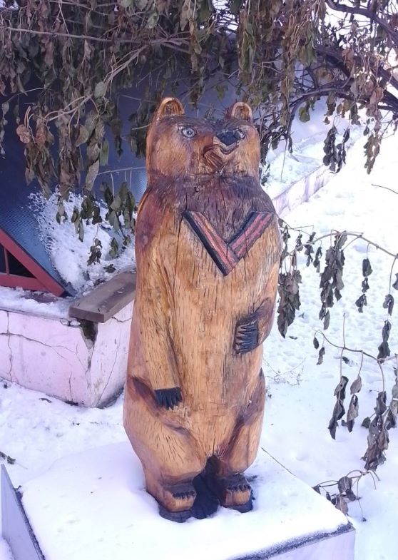 Фото: правительство Амурской области 