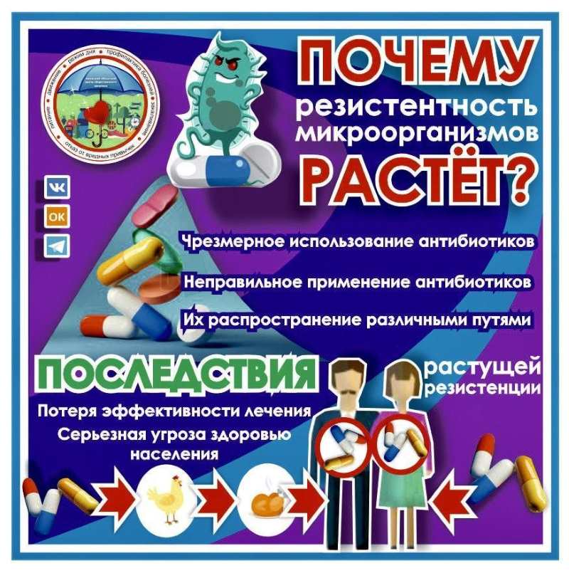 инфографика