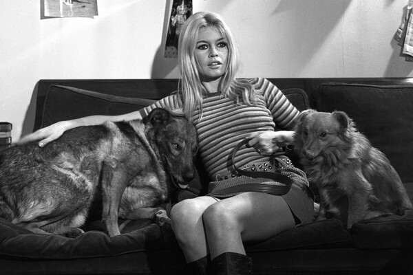 Брижит Бардо