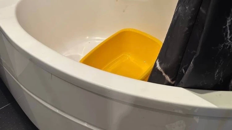 Мать в Петербурге утопила двухнедельного ребёнка, которого пыталась родить пять лет