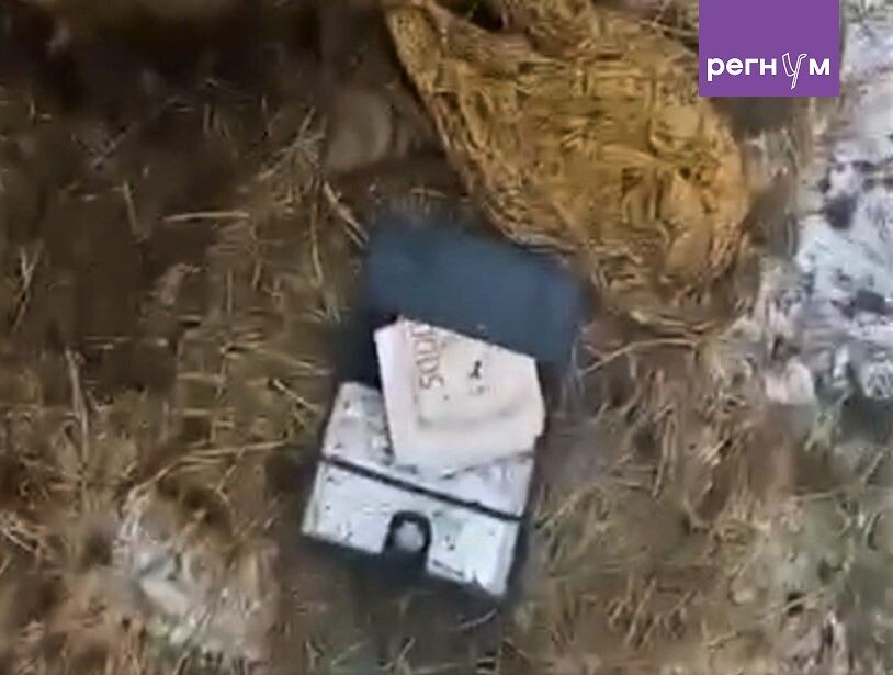 Фермер в Башкирии обнаружил в желудке коровы кошелёк с деньгами и чужие документы