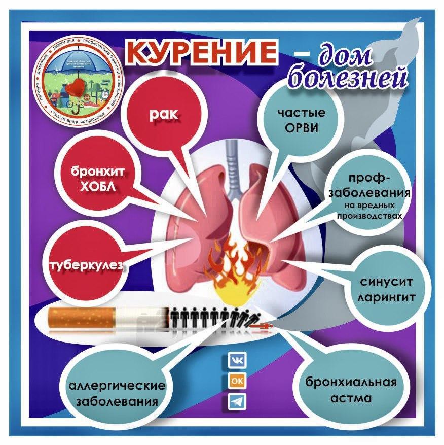 инфографика