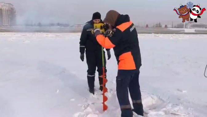 зимфестамур