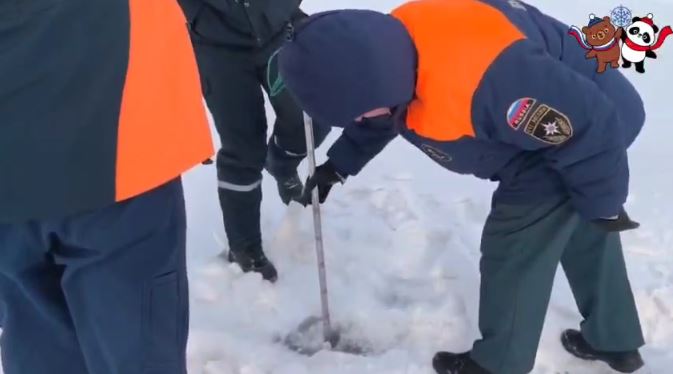 зимфестамур