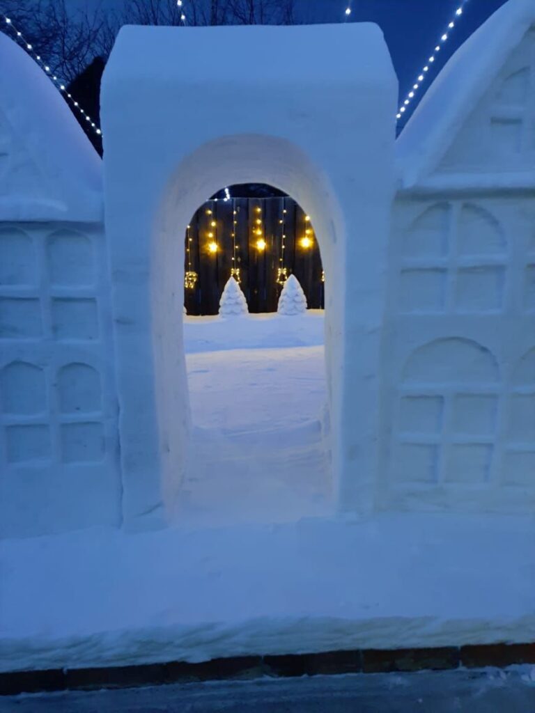 Амурчане поселили у себя во дворе снежного чебурашку