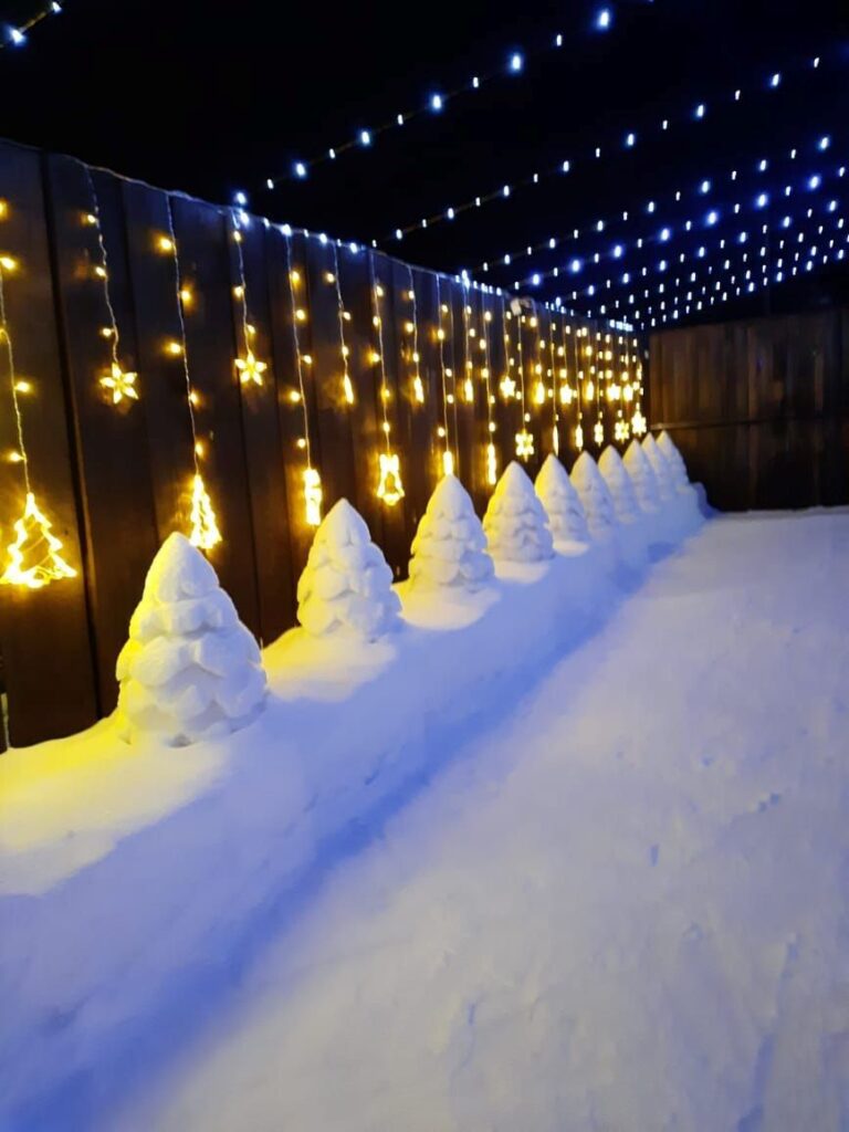 Амурчане поселили у себя во дворе снежного чебурашку