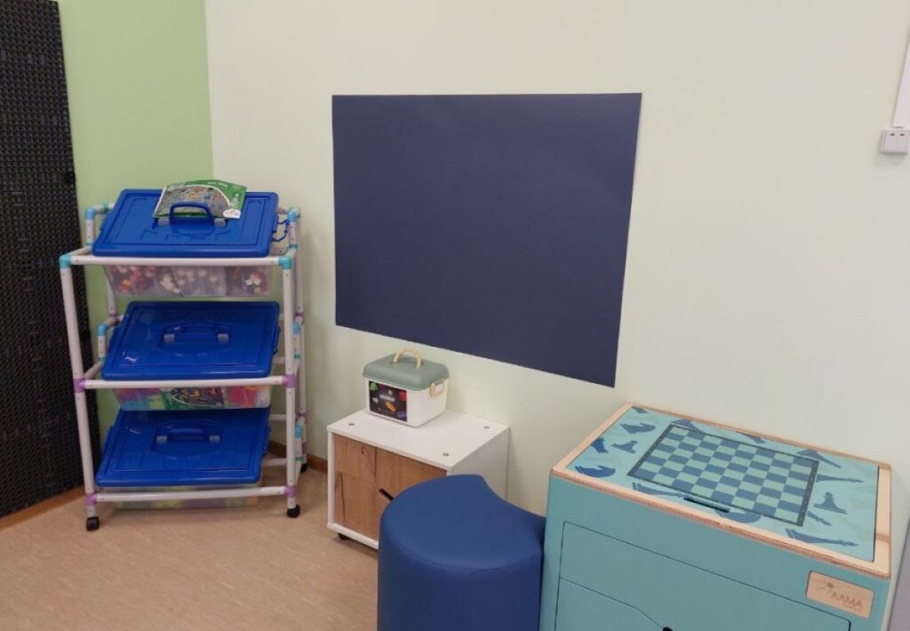 Фото: правительство Амурской области