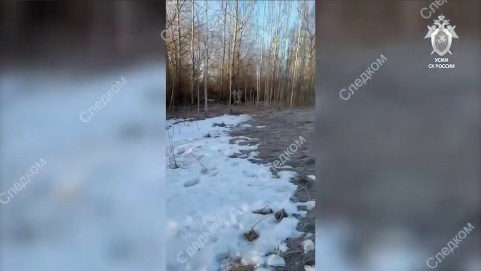 Подросток в Петербурге убил 17-летнего знакомого по просьбе девушки