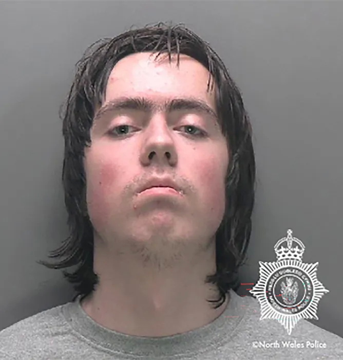 Подросток в Британии убил мать молотком по совету чат-бота