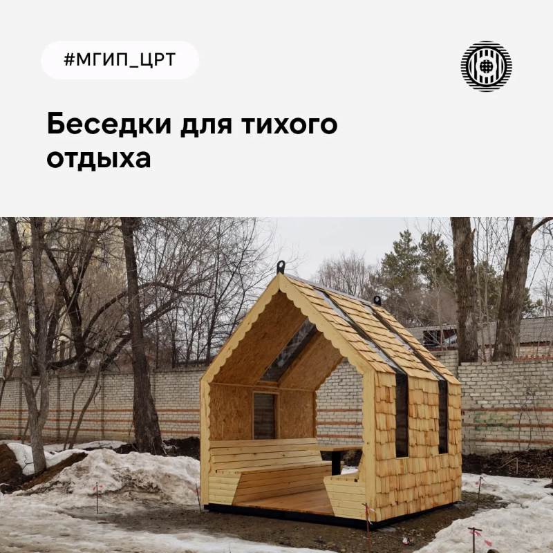 амурский лес, сорокножка