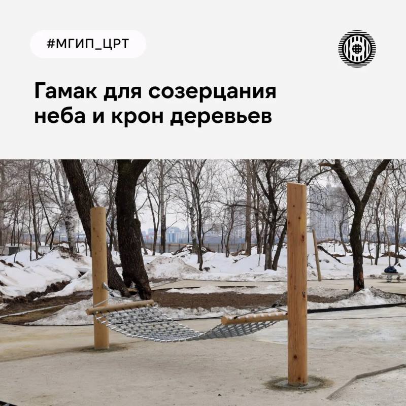 амурский лес, сорокножка