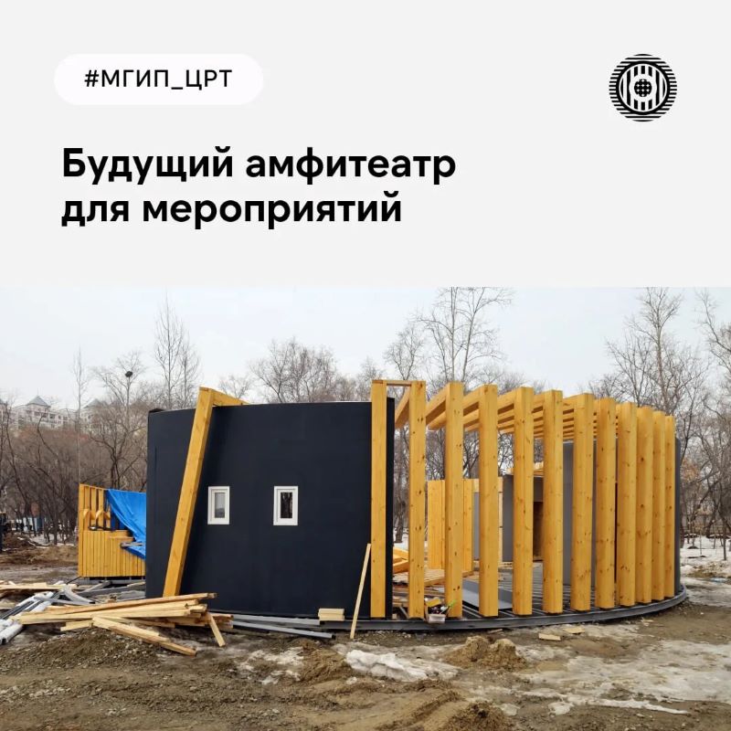 амурский лес, сорокножка