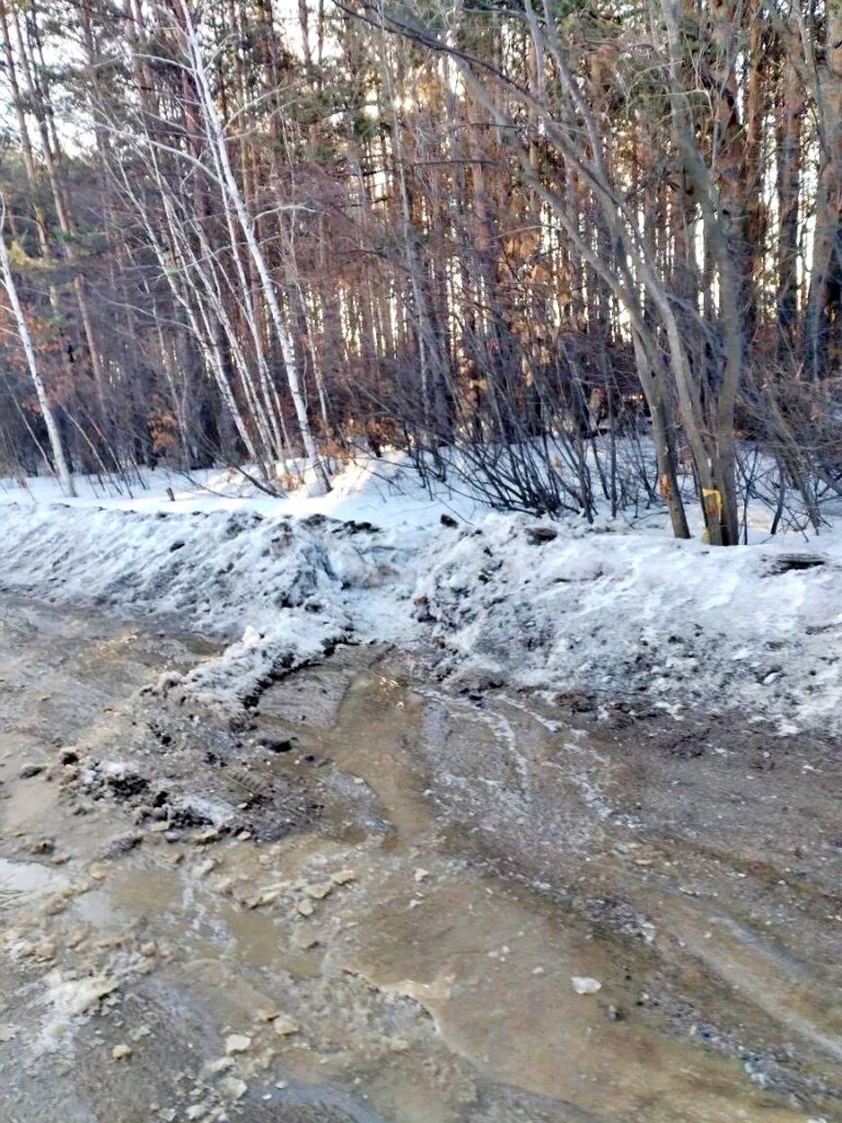 Улица Лесная – до прохождения грейдера. Фото: Амур.инфо