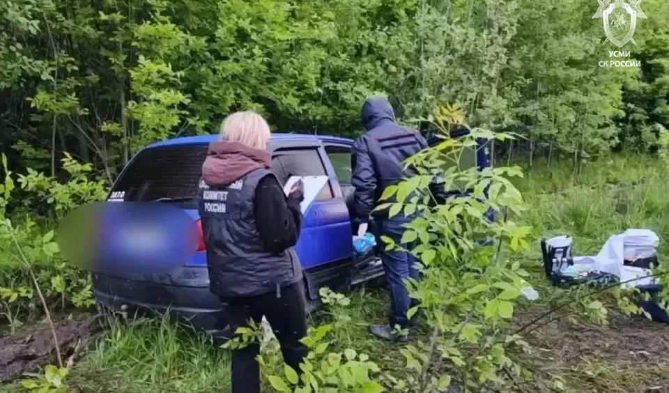 Студент из Липецкой области рассказал, почему вместе с другом убил отца 