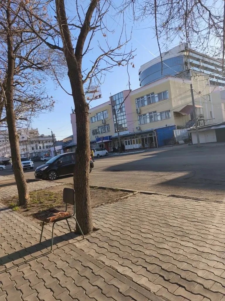 воробьи