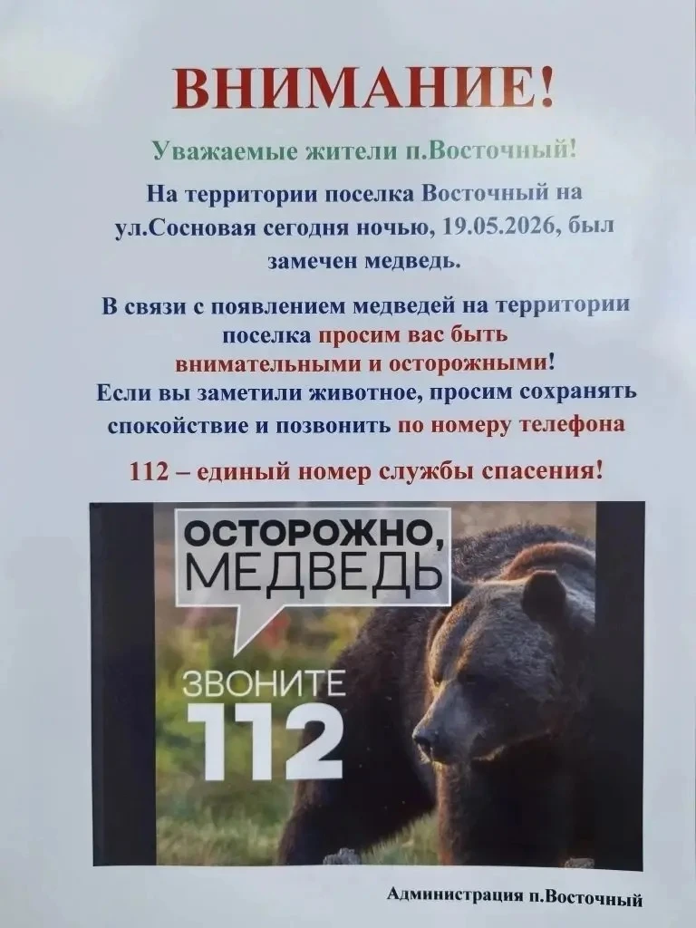 листовка