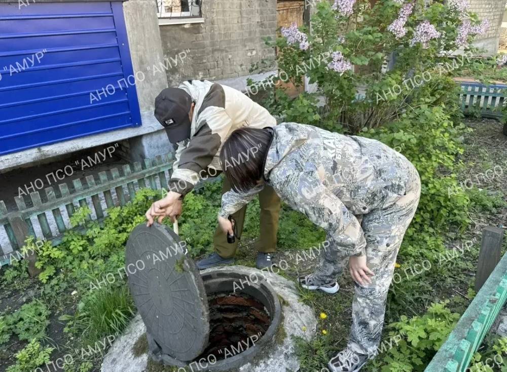 псо амур