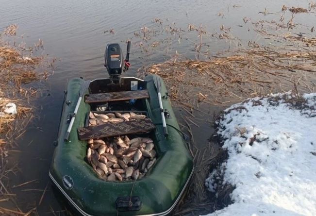 караси