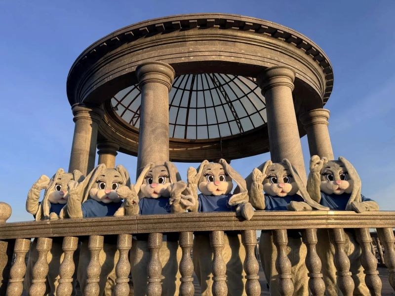 куклы