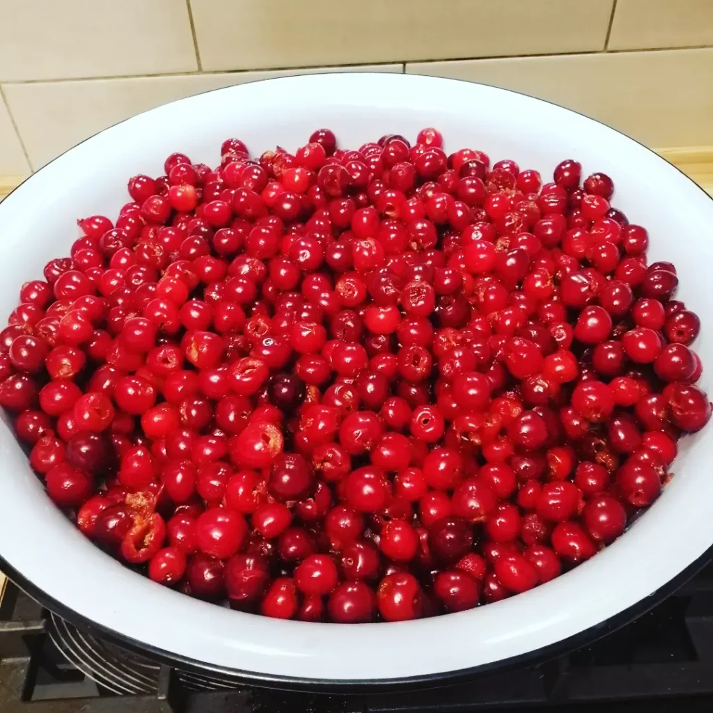 рецепты с вишней, вареники с вишней, варенье с вишни, вишневое варенье, вишневый штрудель