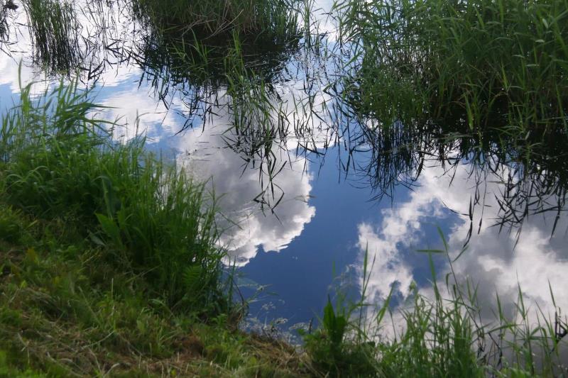 водоём