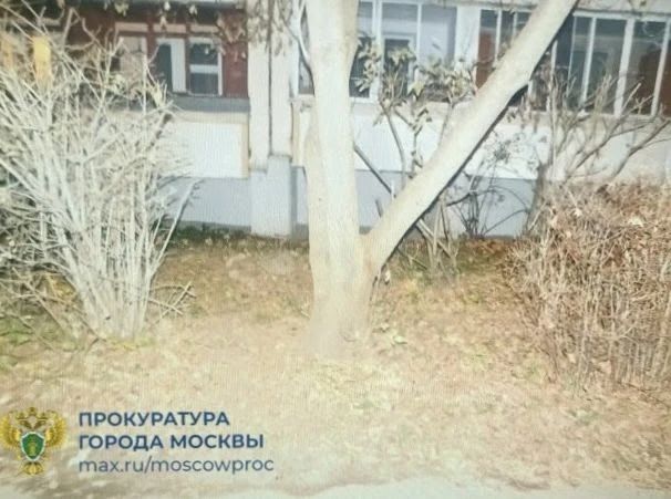 Женщина бросила новорождённого ребёнка на улице в Зеленограде