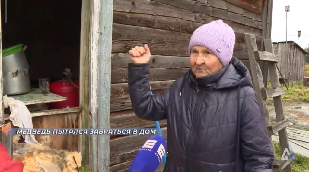 Пенсионерка в Красноярском крае отбилась от медведя, который лез к ней в окно